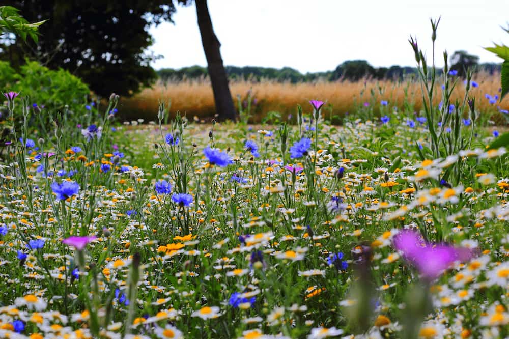 What Are The Alcohol Shakes and How Long Do They Last?
